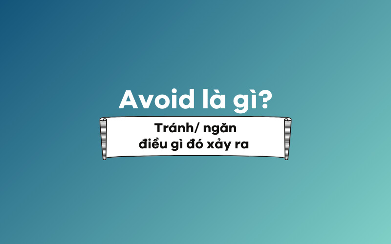 Avoid là gì