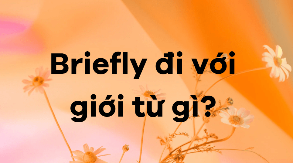 Briefly đi với giới từ gì