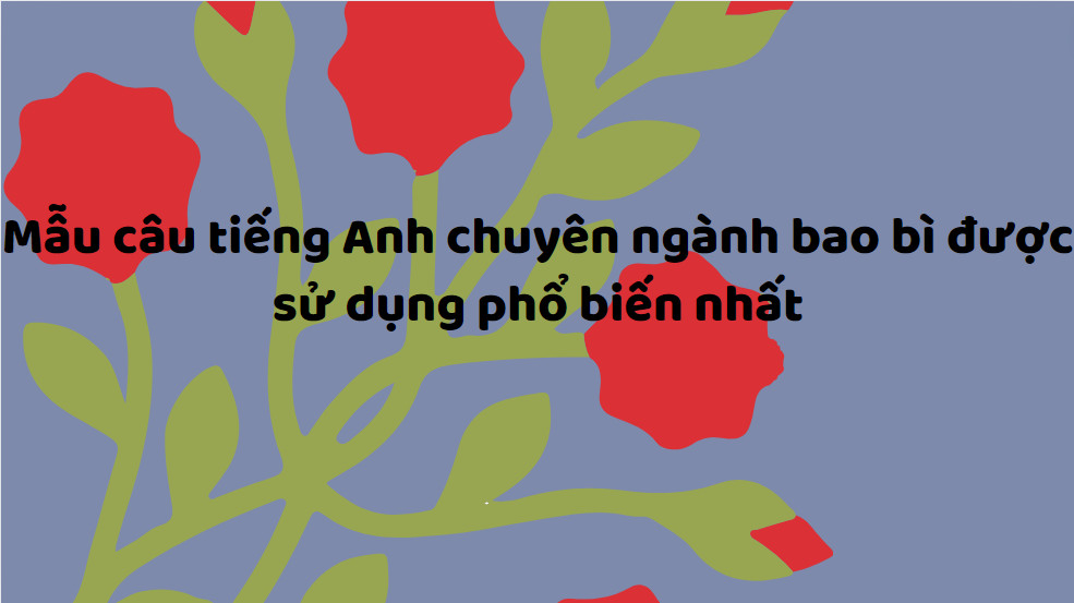 Mẫu câu tiếng Anh chuyên ngành bao bì được sử dụng phổ biến nhất