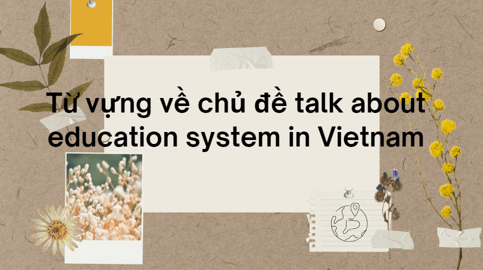 Từ vựng về chủ đề talk about education system in Vietnam