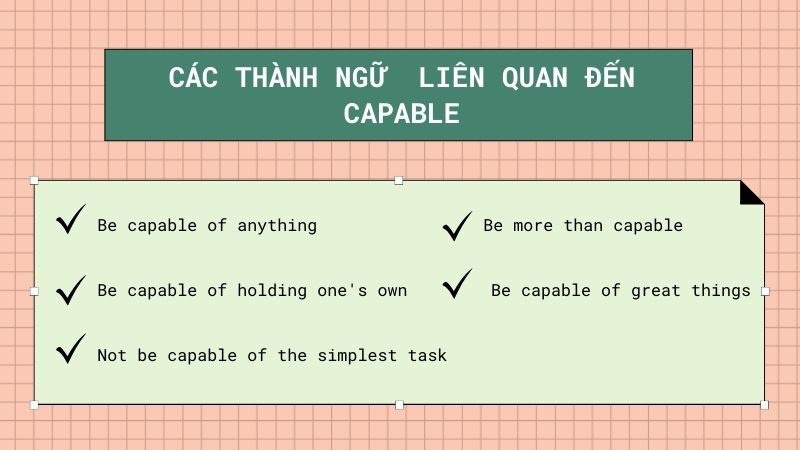 Capable xuất hiện trong nhiều thành ngữ và cách diễn đạt