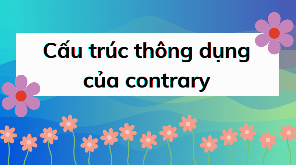 Cấu trúc thông dụng của contrary trong tiếng Anh