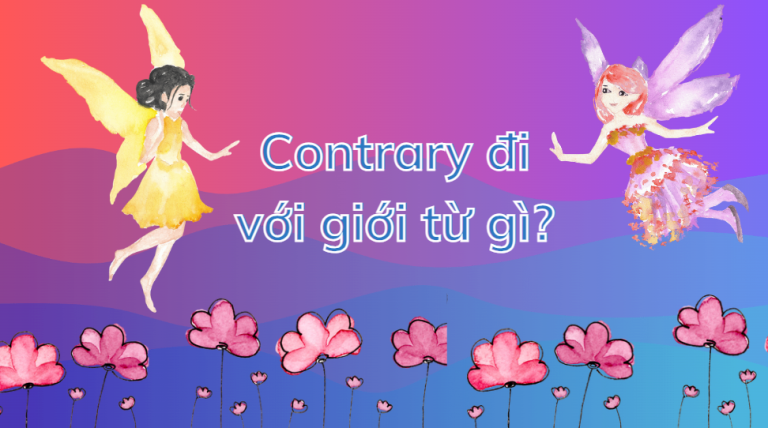 Contrary là gì? Contrary đi với giới từ gì? Những điều cần biết về contrary 