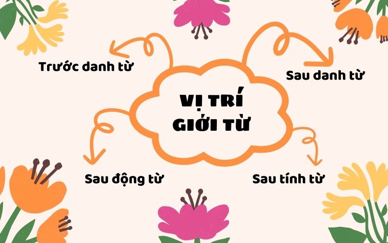 Vị trí của giới từ 