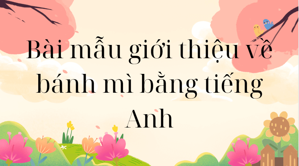 Bài mẫu giới thiệu về bánh mì bằng tiếng Anh