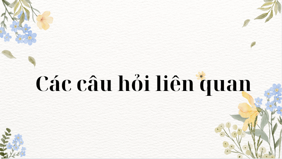 Các câu hỏi liên quan