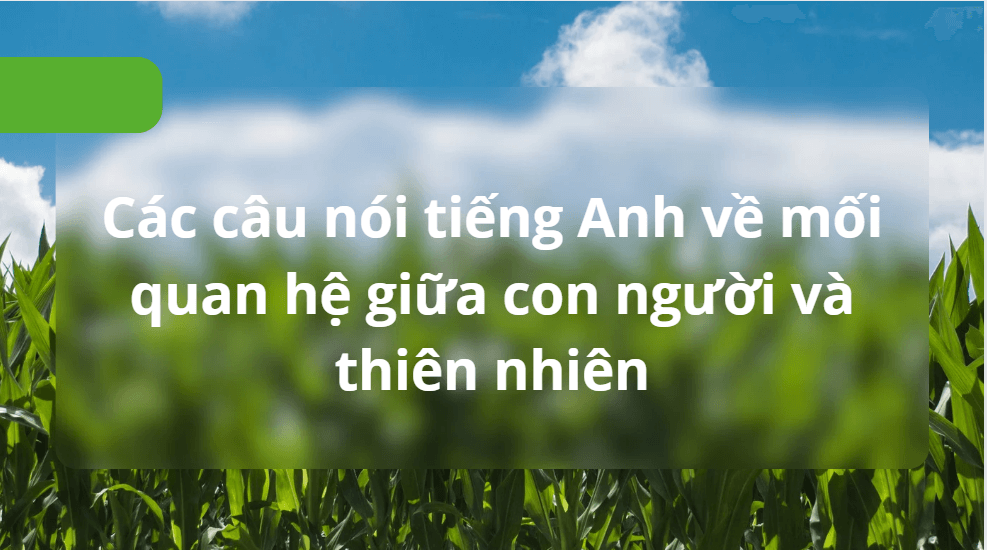 Các câu nói tiếng Anh về mối quan hệ giữa con người và thiên nhiên