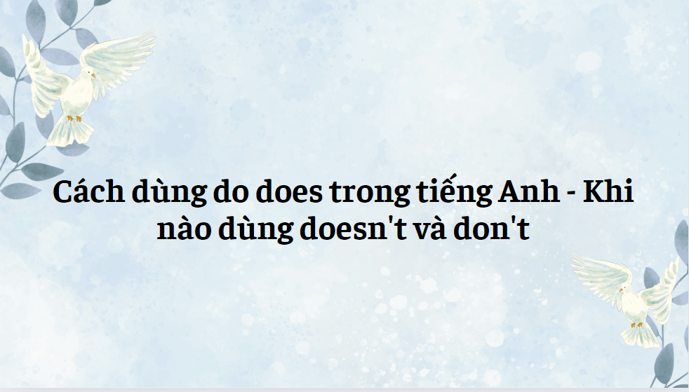 Cách dùng do does trong tiếng Anh - Khi nào dùng doesn't và don't 