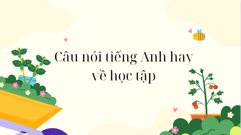 399+ câu nói tiếng Anh hay về học tập đầy cảm hứng