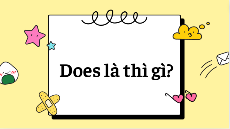 Does là gì? Does là thì gì? Cách dùng do does trong tiếng