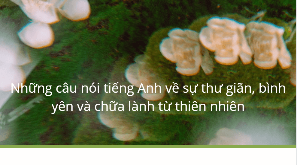 Những câu nói tiếng Anh về sự thư giãn, bình yên và chữa lành từ thiên nhiên