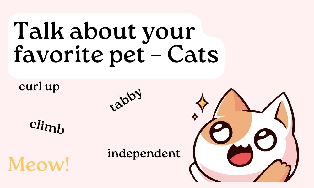 Talk about your favorite pet – cat