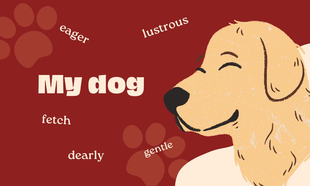 Talk about your favorite pet – dog