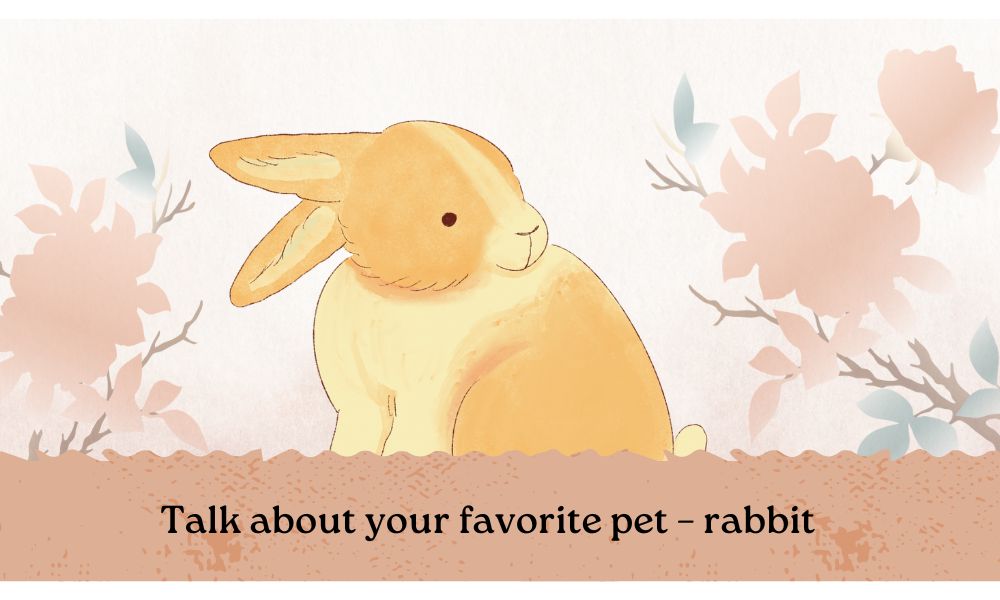 Talk about your favorite pet – rabbit