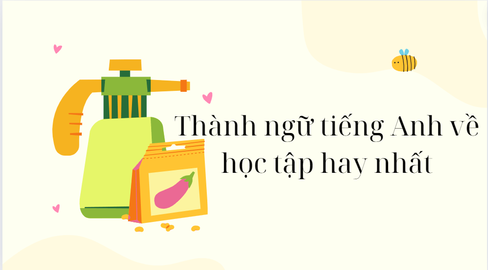 Thành ngữ tiếng Anh về học tập hay nhất