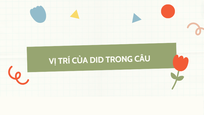 Vị trí của did trong câu