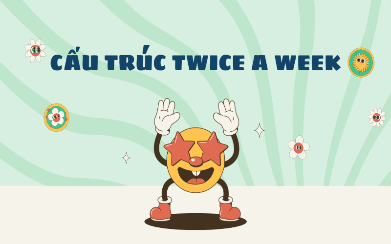 Các cấu trúc twice a week