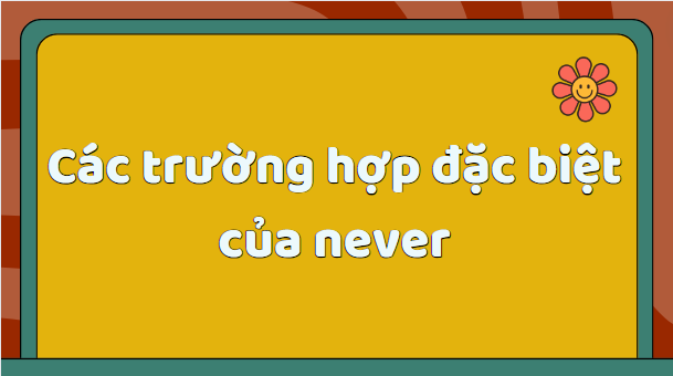 Các trường hợp đặc biệt của never
