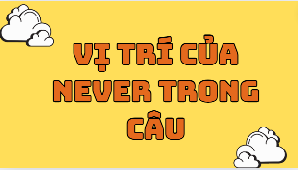 Vị trí của never trong câu