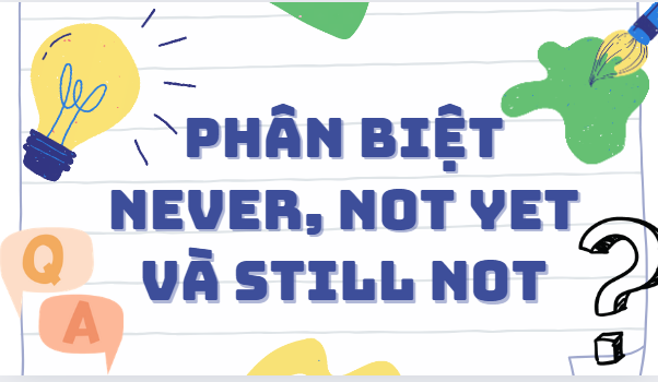 Phân biệt never, not yet và still not