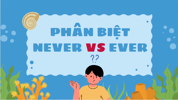 Phân biệt never và ever